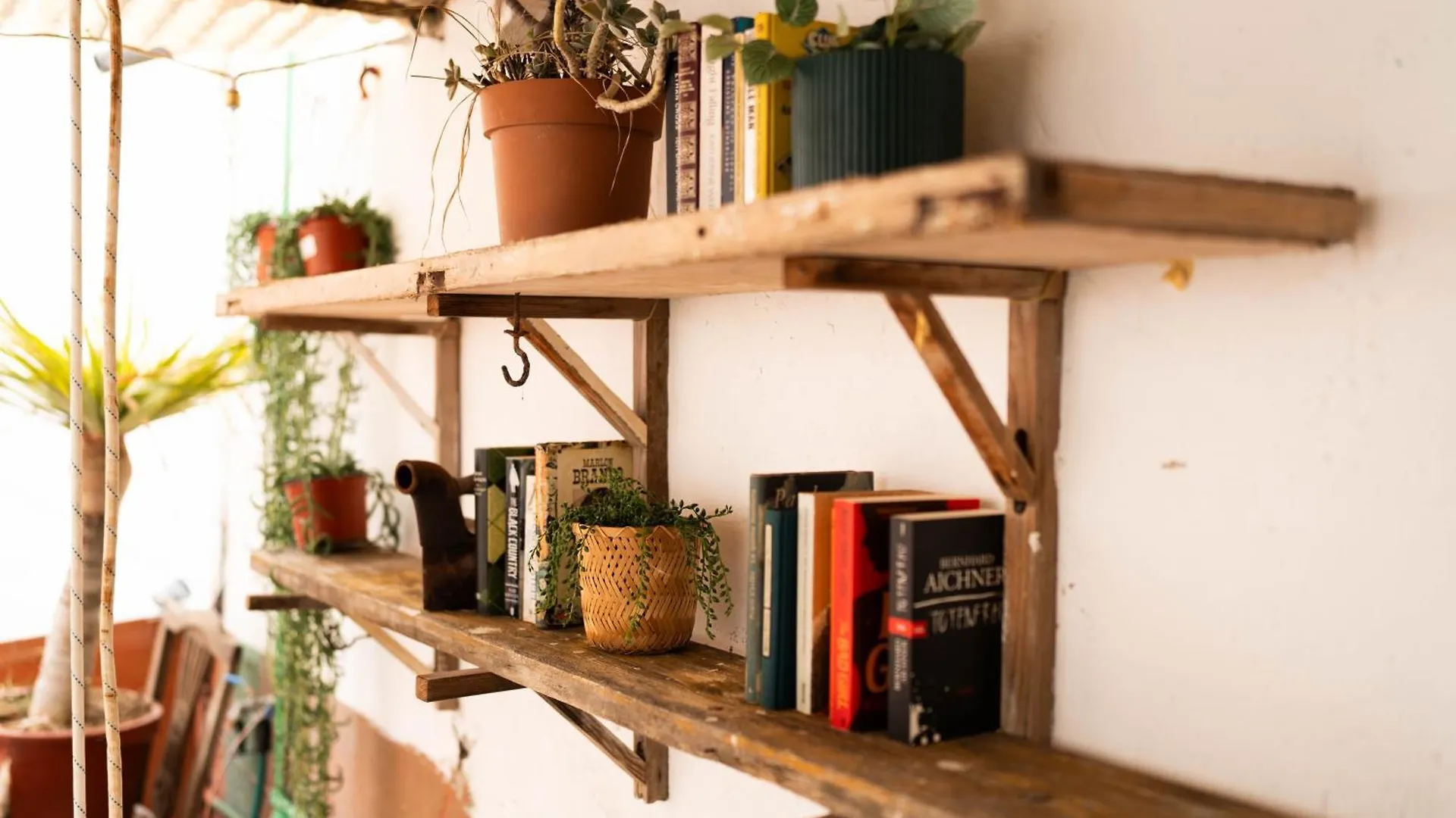 Dona Rose Surf Hostel Las Palmas / Gran Canaria